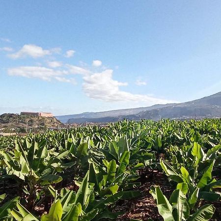 Parque La Luz Lägenhet La Orotava Exteriör bild